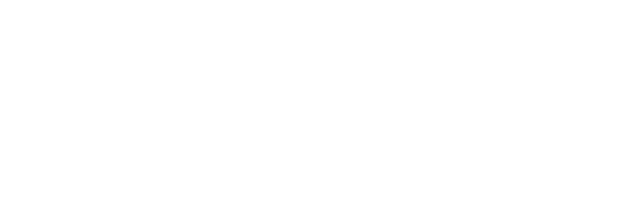 domus flats logo